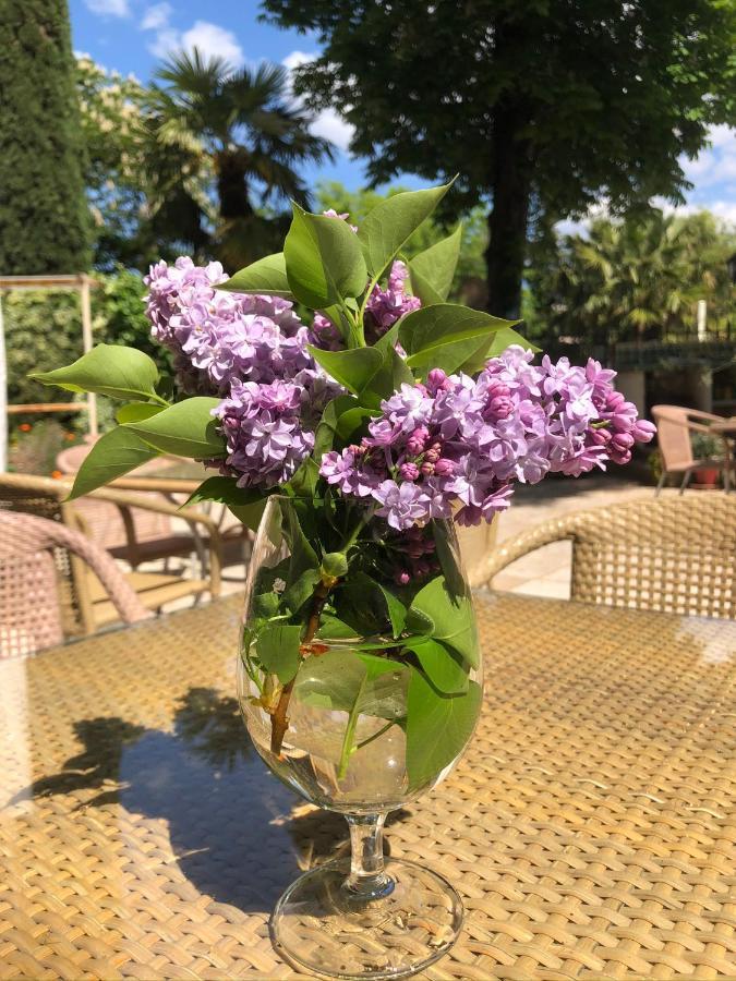 Maison Du Midi Bed & Breakfast ลอร์เกส ภายนอก รูปภาพ